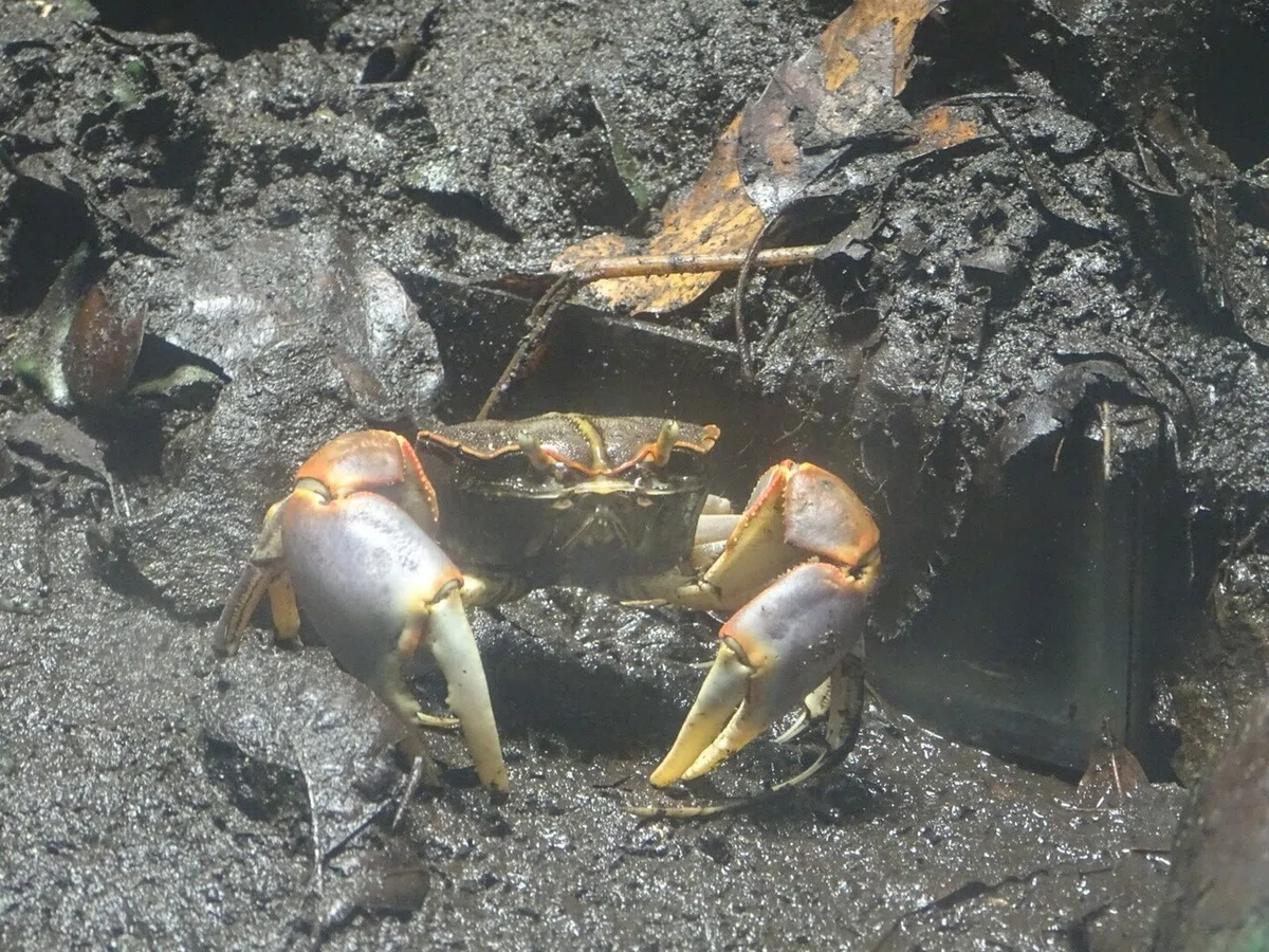 画像67