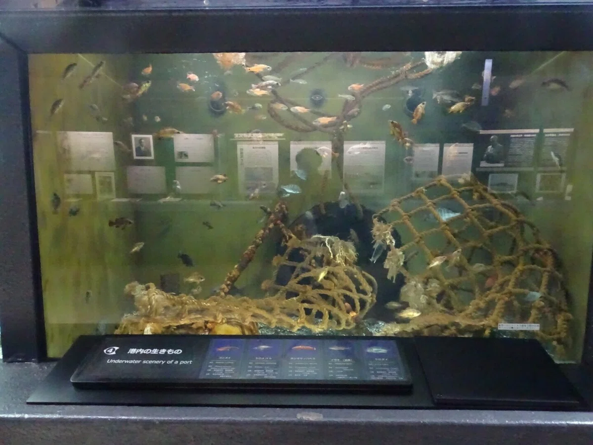 画像71