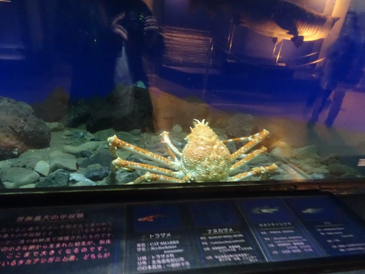 画像70