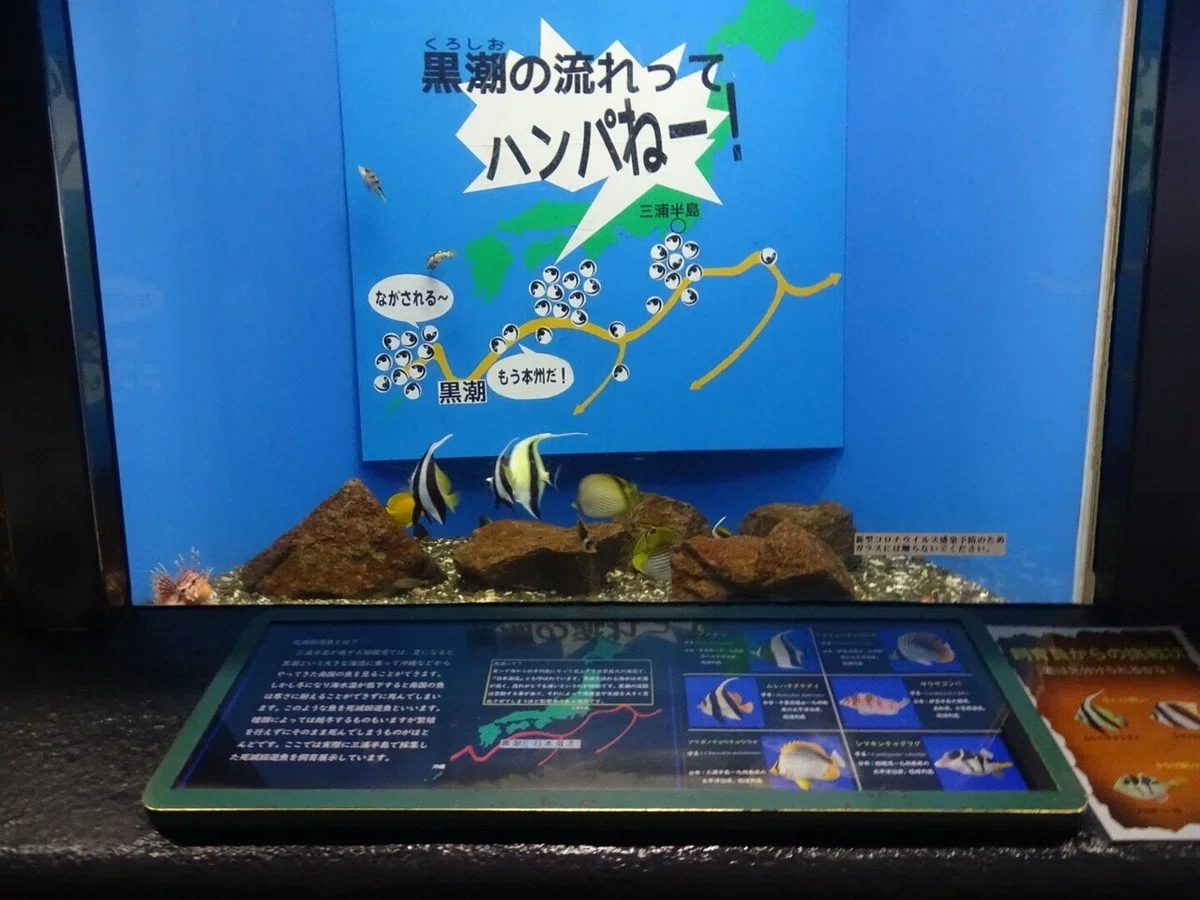 画像89