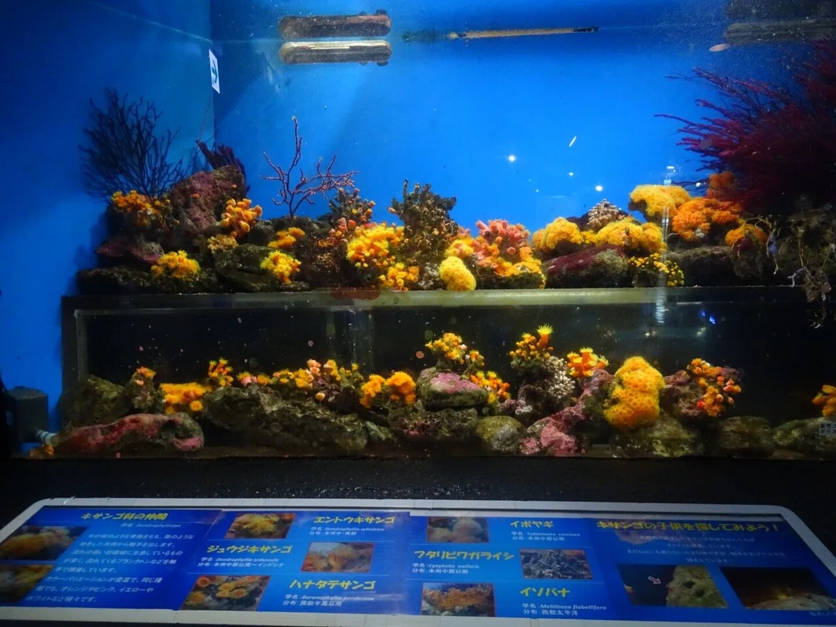 画像90