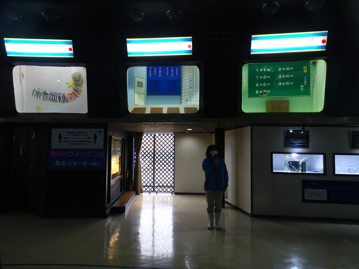 画像101