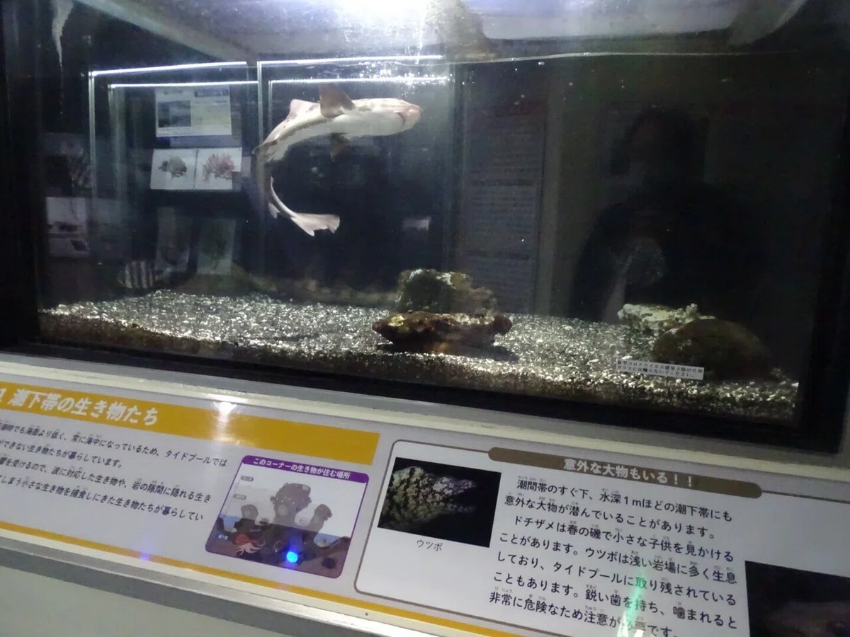 画像95
