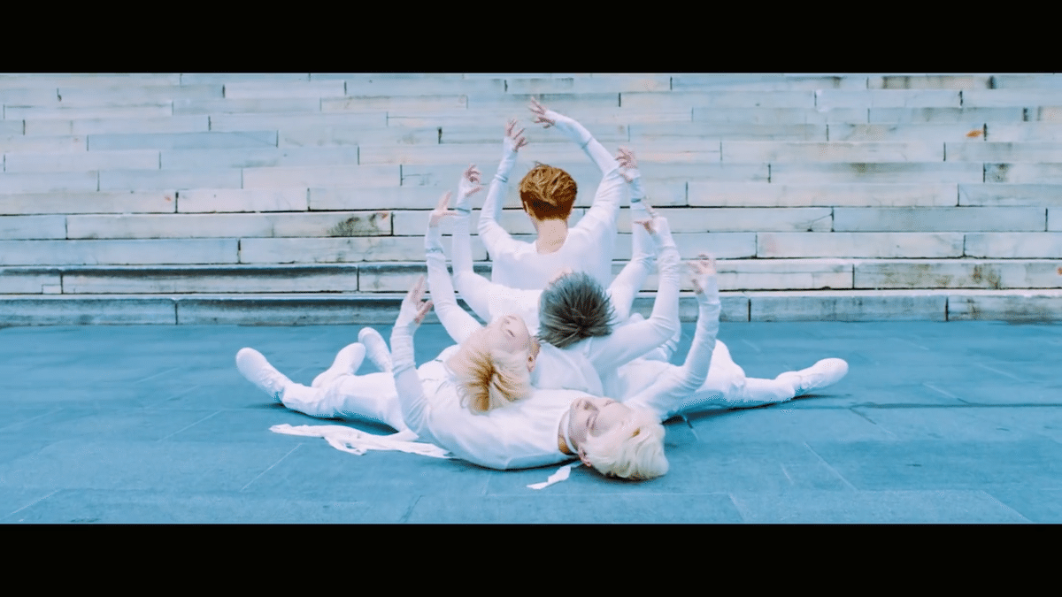 MV17 SEVENTEEN Performance team 13월의 춤｜carebear