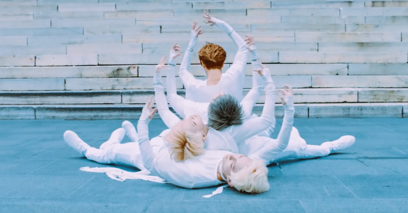 MV17 SEVENTEEN Performance team 13월의 춤
