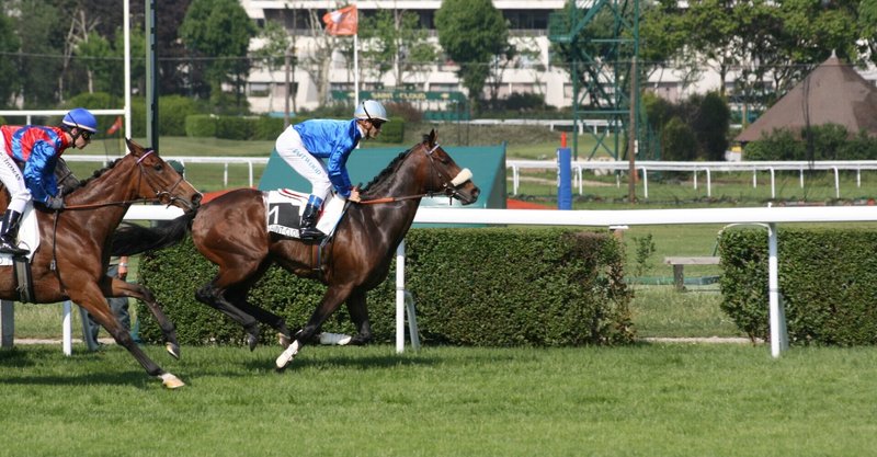 重賞予想 オークス 一口馬主マスターb Note