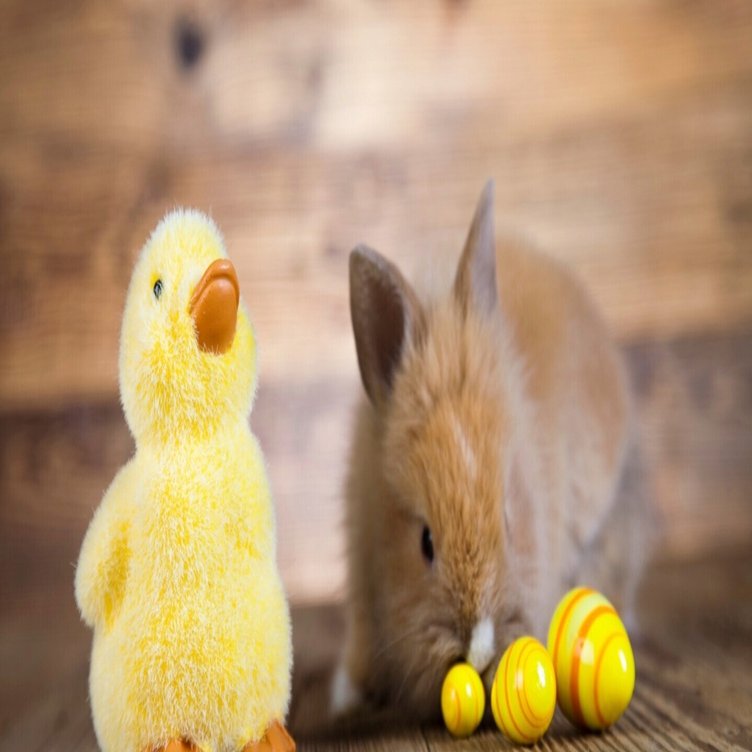 海外作家様作　アートドール　ウサギとアヒル 20f5e28782535520e99b640915fe91