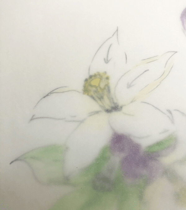 今日も誰かの誕生花がどこかで咲いている レモンの花 Hitomiらら Note