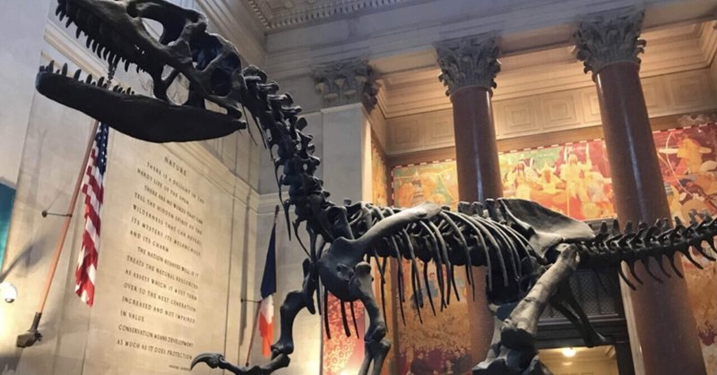 アメリカ自然史博物館 の新着タグ記事一覧 Note つくる つながる とどける アメリカ自然史博物館 の新着タグ記事一覧 Note つくる つながる とどける