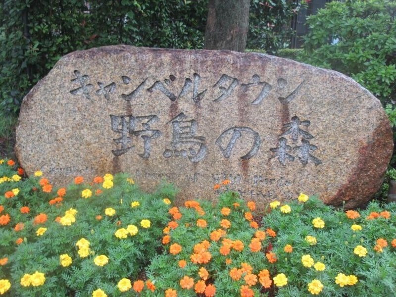 園館等訪問ルポ 愛玩鳥たちの 野性 キャンベルタウン野鳥の森 埼玉県越谷市 おらんうーたんになりたい Note