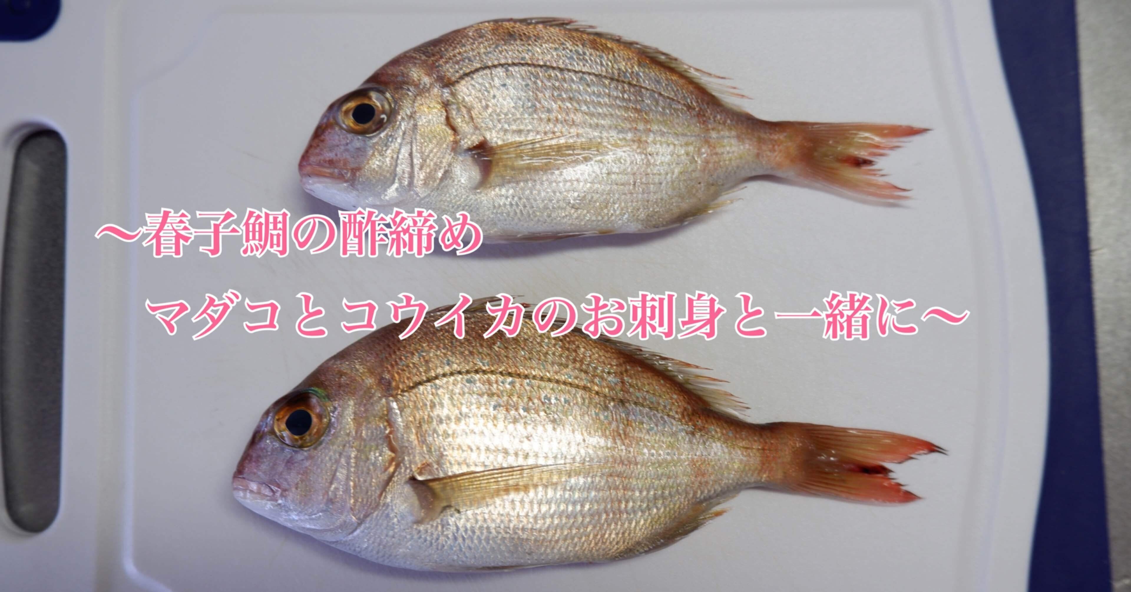 プロの味を勉強した結果は 間違いなく美味 お魚utコム Note プロの味を勉強した結果は 間違いなく美味 お魚utコム Note