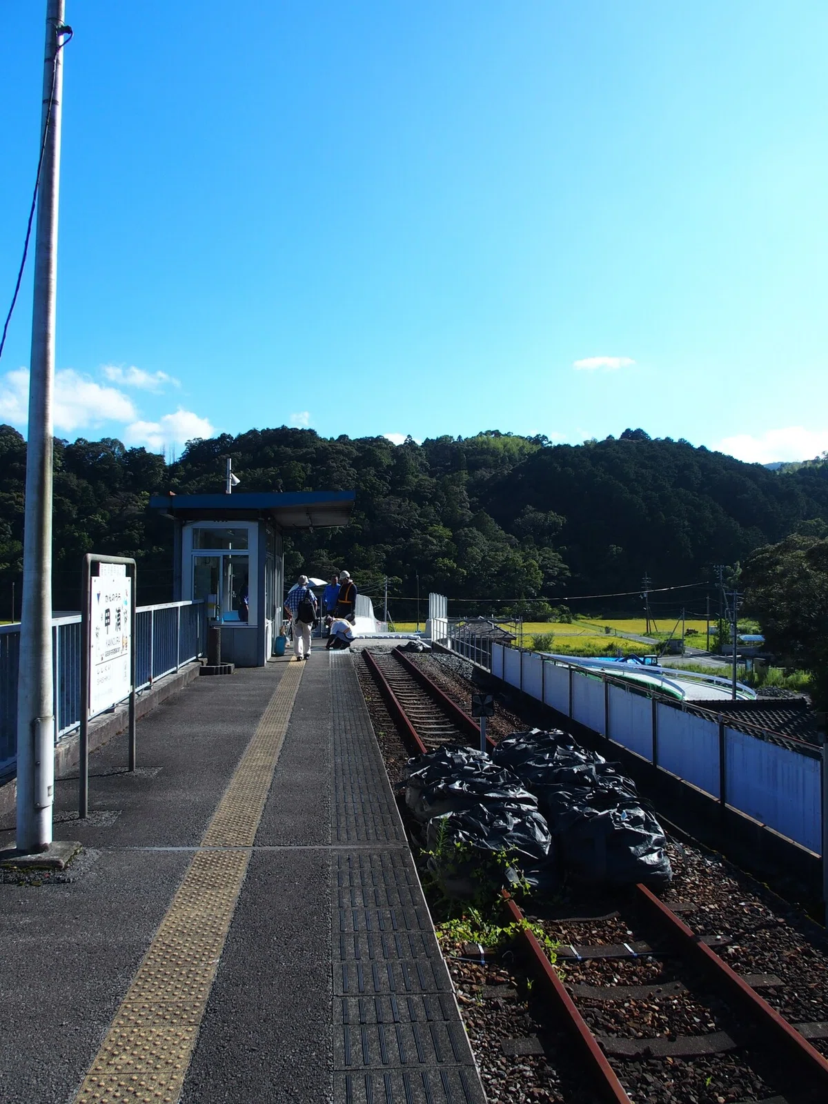 画像9