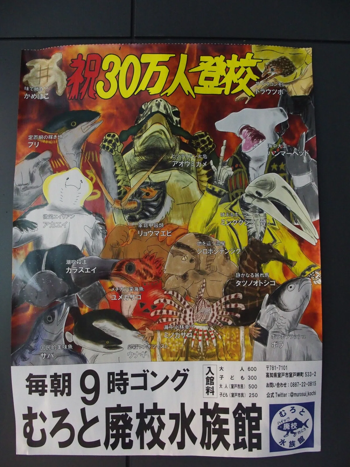 画像24