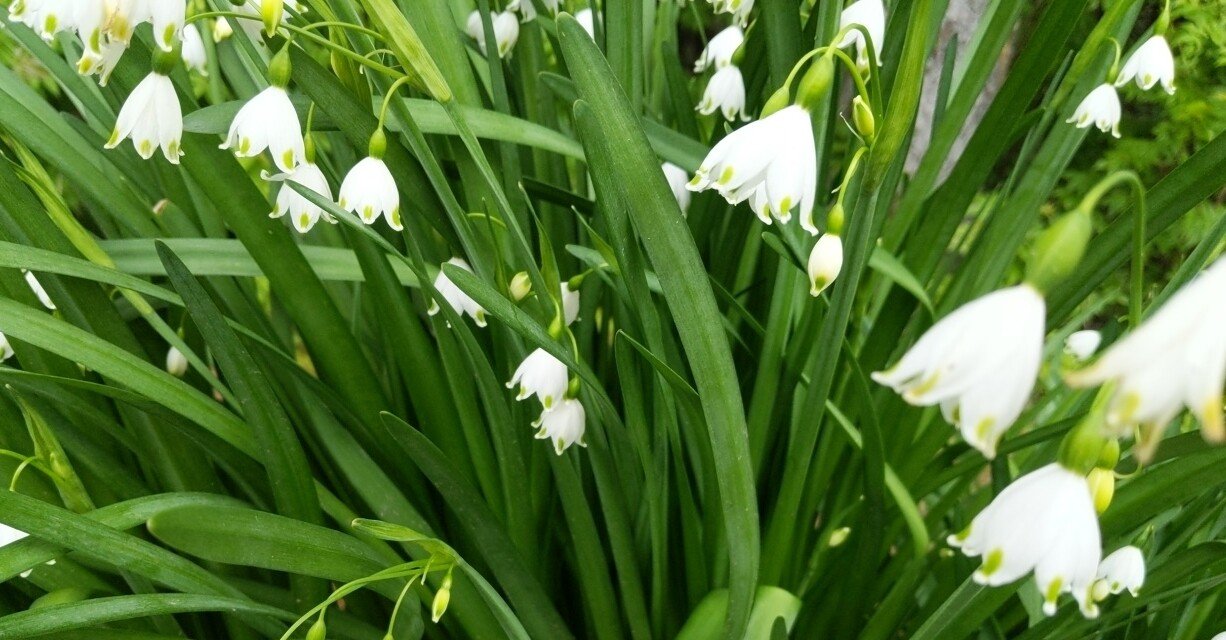 Minecraftマップアートの制作手順を説明してもらって 度肝を抜かれた件 Tetrapod Note