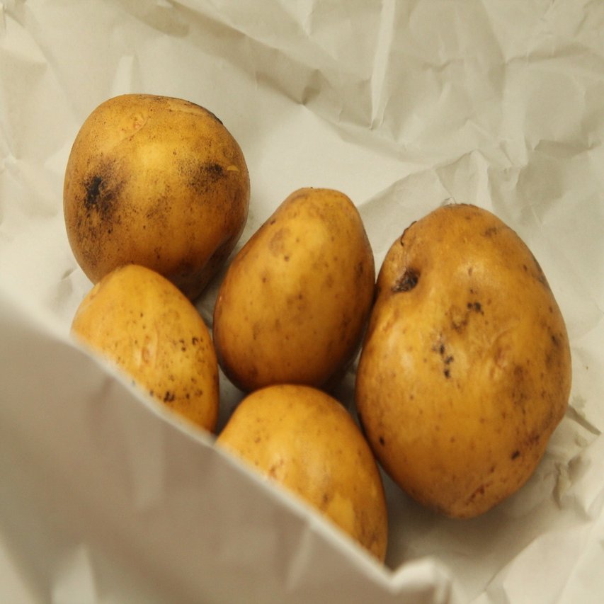 ジャガイモのグラタンは熟成がおいしさの秘密 樋口直哉 Travelingfoodlab Note