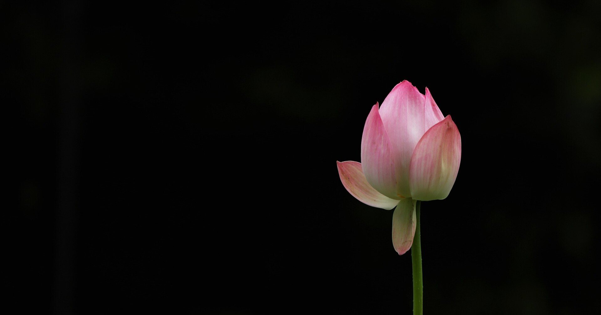 好意を持ち合っているからって、分かり合えるとは限らない@志賀直哉