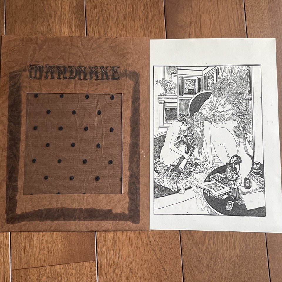 マンドレイクのレコードの話｜たつろー