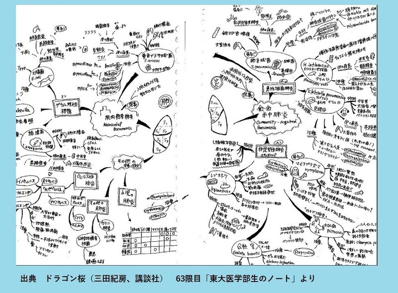 科学的に証明 難関国家資格でも使えたドラゴン桜の暗記方法 ほへと 中小企業診断士 ビジネスアーティスト Note