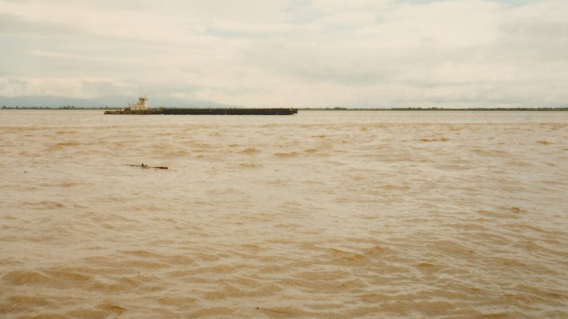 ハバロフスク　アムール川大洪水
