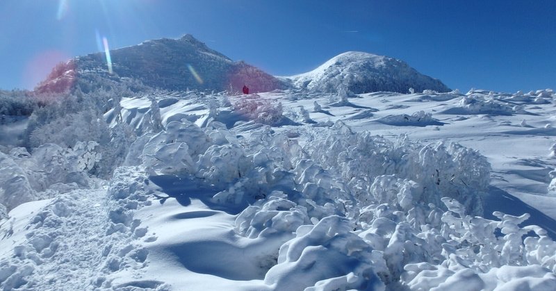 身体完全同一性障害 の新着タグ記事一覧 Note つくる つながる とどける