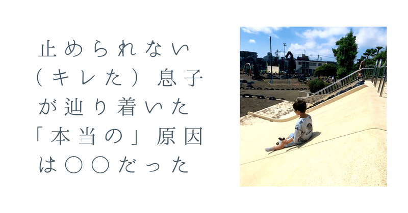 止められない キレた 息子が辿り着いた 本当の 原因 Sandy 経営者 茶人 芸大生 Note