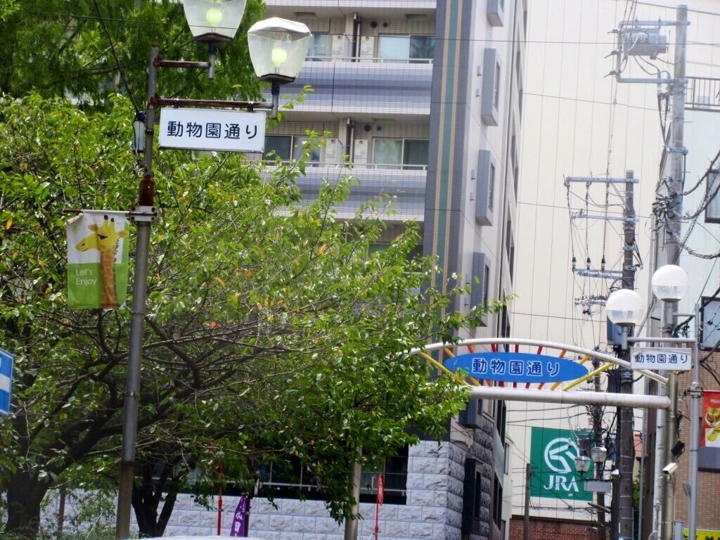 園館等訪問ルポ 動物園とウインズがある街で 野毛ちかみち 動物園通り 横浜市立野毛山動物園 神奈川県横浜 市 おらんうーたんになりたい Note 園館等訪問ルポ 動物園とウインズがある街で 野毛ちかみち 動物園通り 横浜市立野毛山動物園 神奈川県横浜 市 おらんうーたんになりたい Note