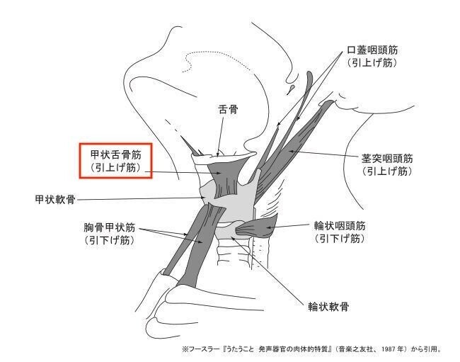 輪状甲状筋vs甲状舌骨筋 あなたのミドルボイス 正しく出せていますか イチ Ichi 低音男子こそ努力すれば輝ける Note