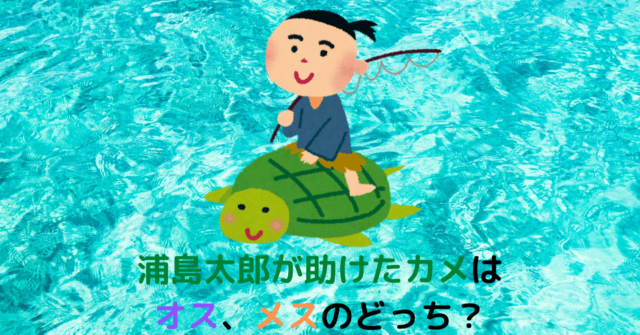 亀 かめ カメ 10問qドリル マジー田中 カズレーザー公認 鎌倉クイズクリエイター Note 亀 かめ カメ 10問qドリル マジー田中 カズレーザー公認 鎌倉クイズクリエイター Note