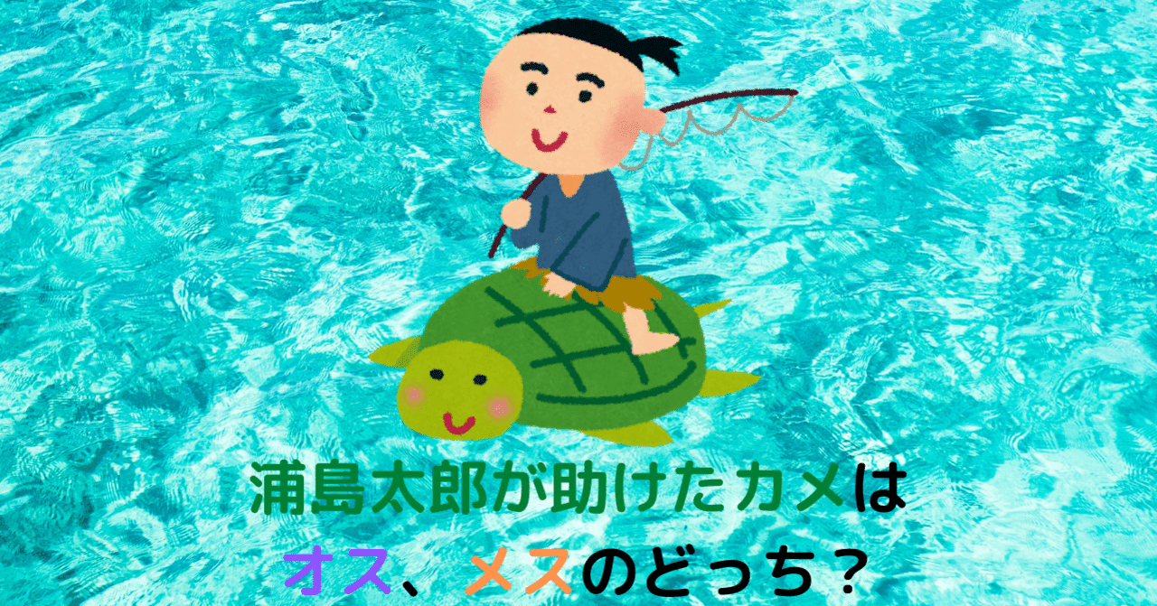 亀、かめ、カメ！！10問Qドリル｜マジー田中(自称・クイズクリエイター)