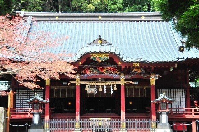 画像5