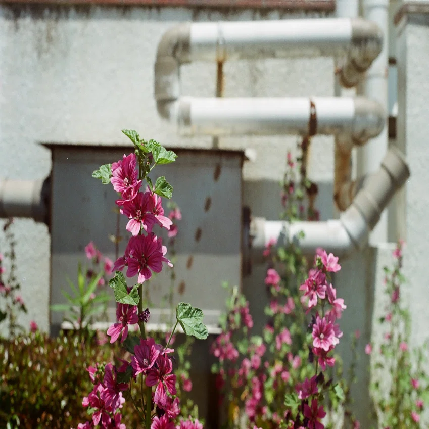 YASHICA PENTA J｜sgk