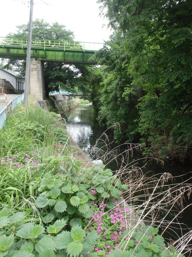 霞川_金子駅鉄橋