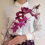 ニコ/flower & clothes