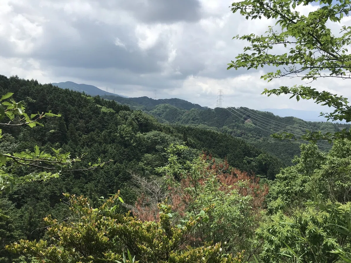 画像8