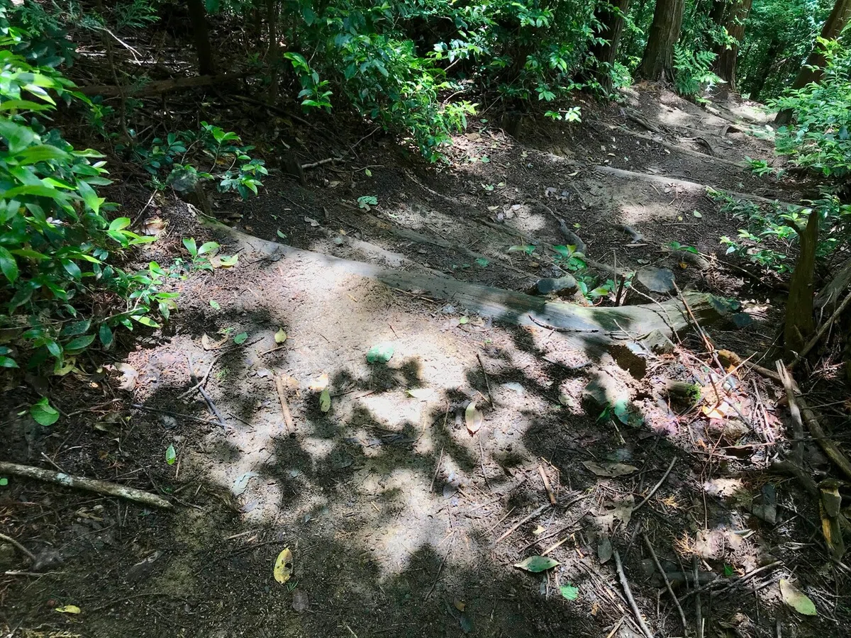 画像10