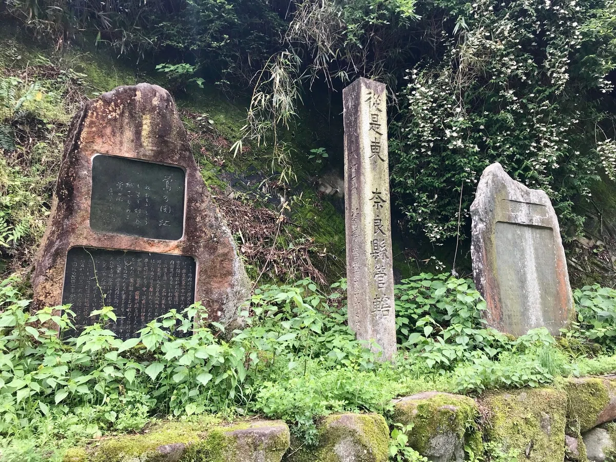 画像11