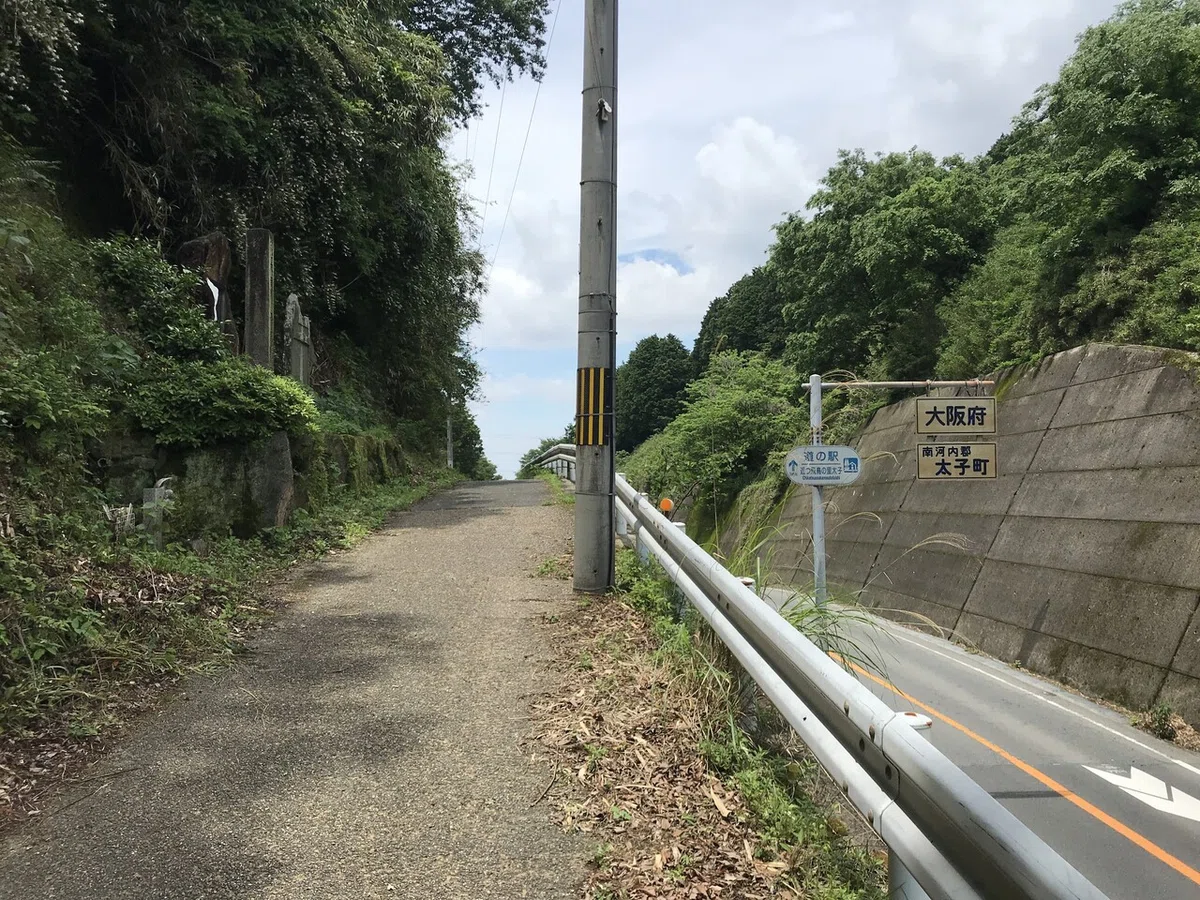 画像12