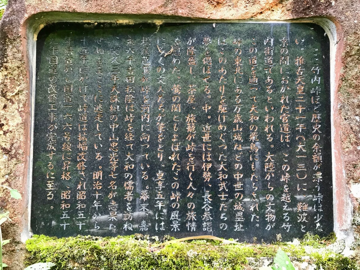 画像13