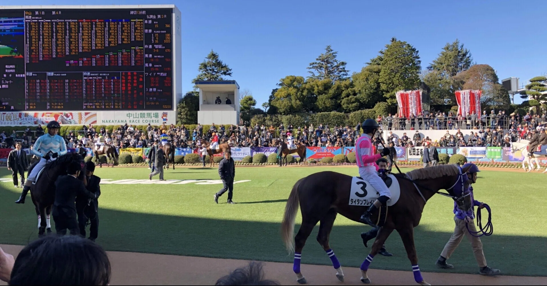 競馬の歴史を学ぶ」～無敗の皐月賞馬 編～｜y=Rx