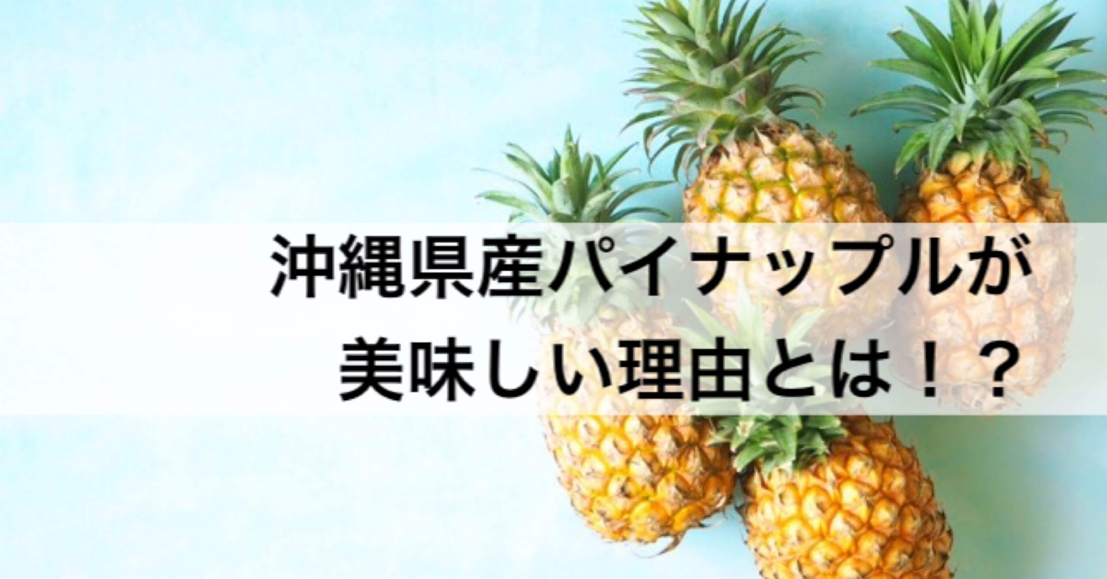 沖縄県産パイナップルが美味しい理由とは 沖縄料理研究家 宮澤かおる Note