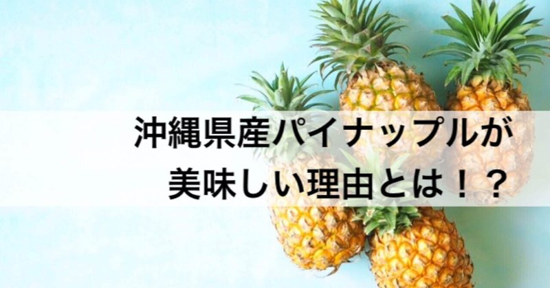沖縄県産パイナップルが美味しい理由とは！？