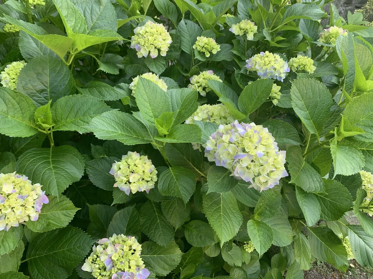 画像17