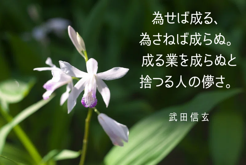 為せば成る 為さねば成らぬ 佐藤 理 Note