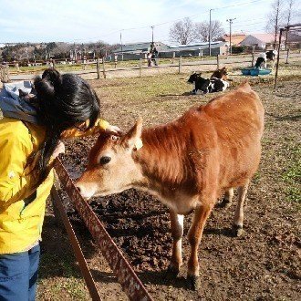 イトウチアキ