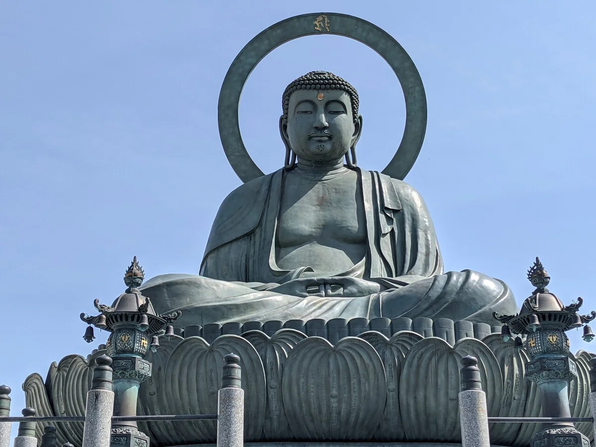 画像12
