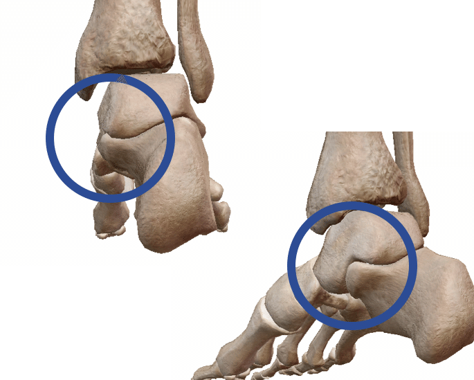 載距突起の触診 加藤淳 Note