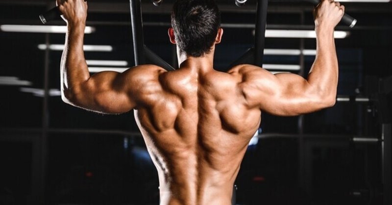 野球 上半身 を鍛える筋トレとは まつかい Note