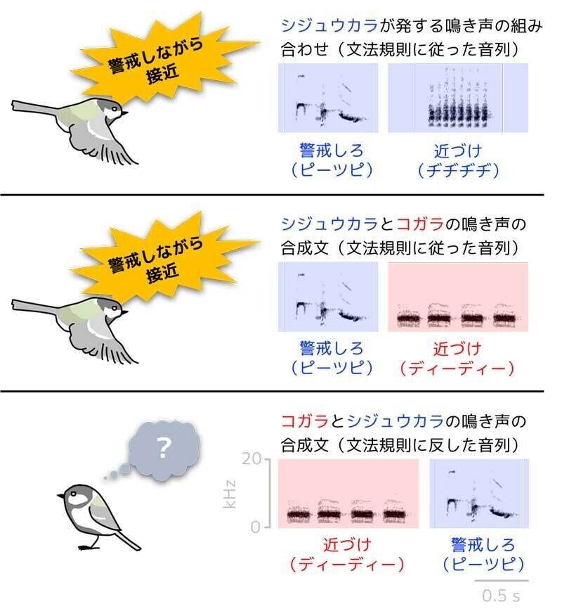 第868回 5月23日放送 ダーウィンが来た より 翆野 大地 Note