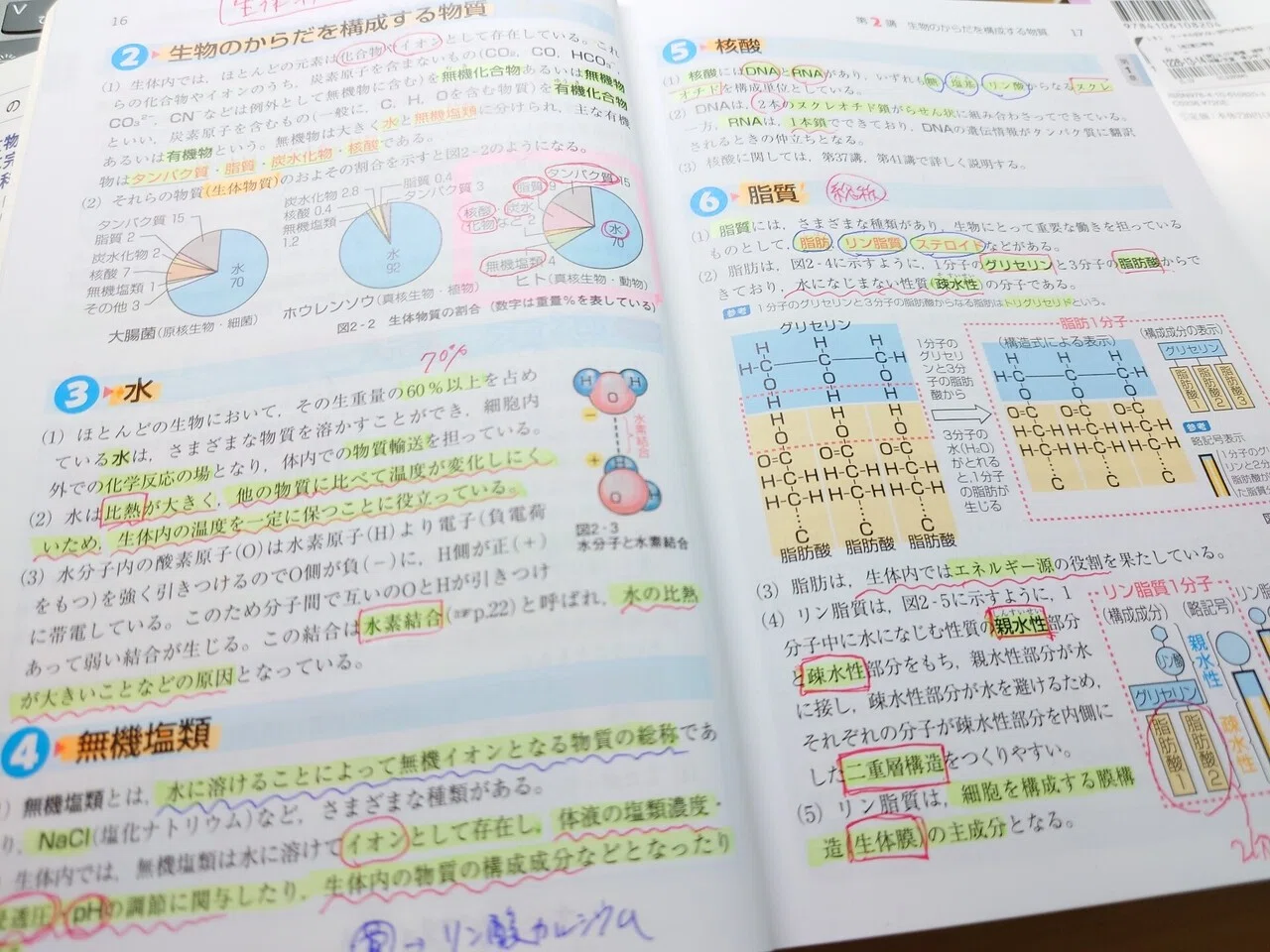 医学部受験でたどりついた効率のいい勉強法10選（後半）｜医ーはとーぶ 