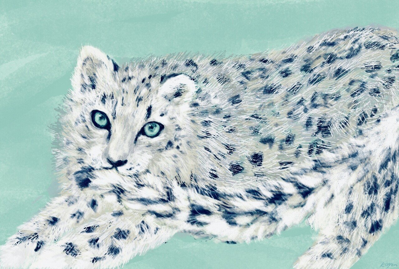 もしゃもしゃ動物の絵146 雪豹にゃーにゃー かよん Note もしゃもしゃ動物の絵146 雪豹にゃーにゃー かよん Note